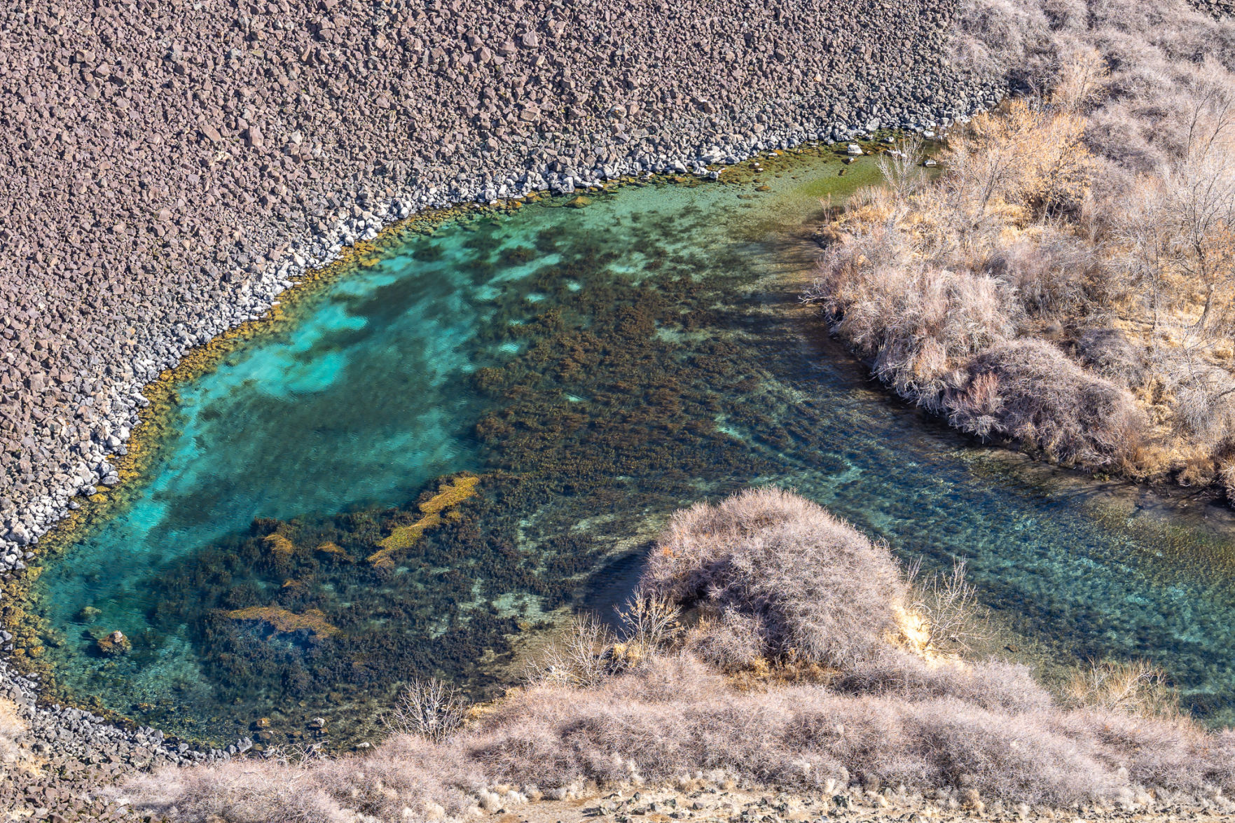 Blue Heart Springs